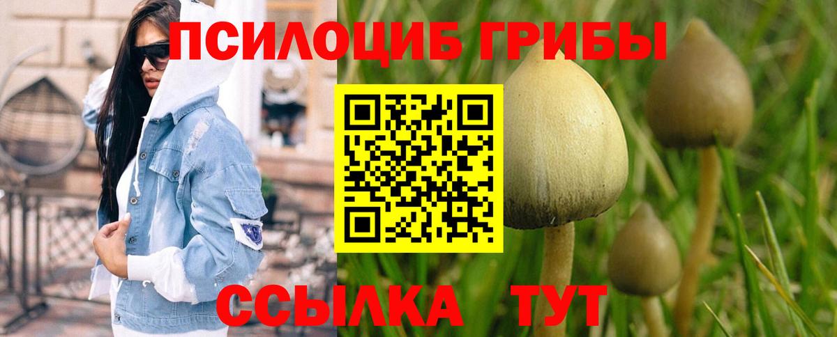 Ростов Великий  Псилоцибиновые грибы ЛСД  Вход с VPN 